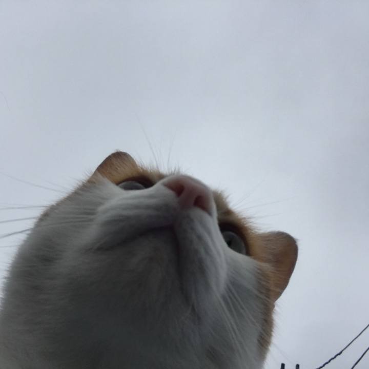 5133fa55 c475 4a8a b13e af36184eb1b1