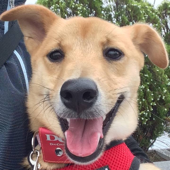 51343f6a 8a6a 4ac2 8500 71f99e8d336c