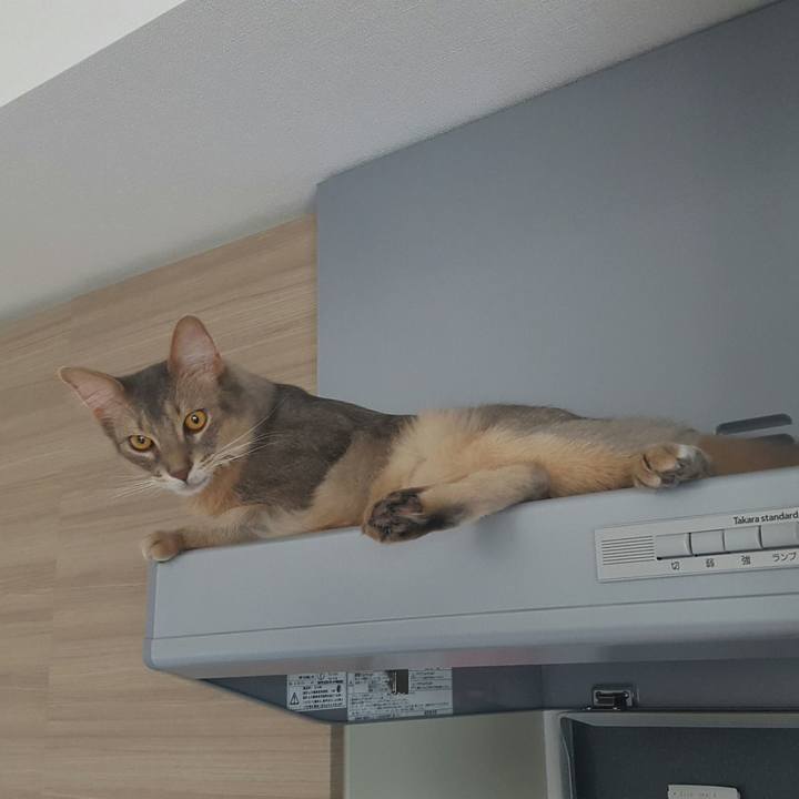 513502e0 516d 4541 9365 f25e033556ce