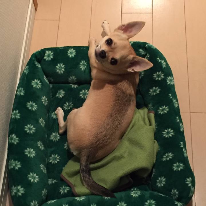 51350e67 c789 42a4 a896 989470cf00d7