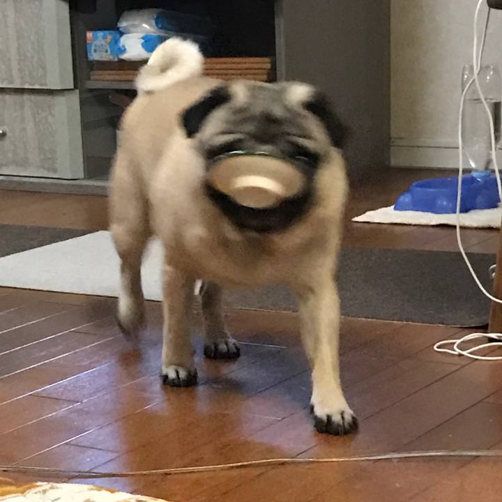 513555a1 5c11 4eb3 bf33 0ec69a3bd5cb