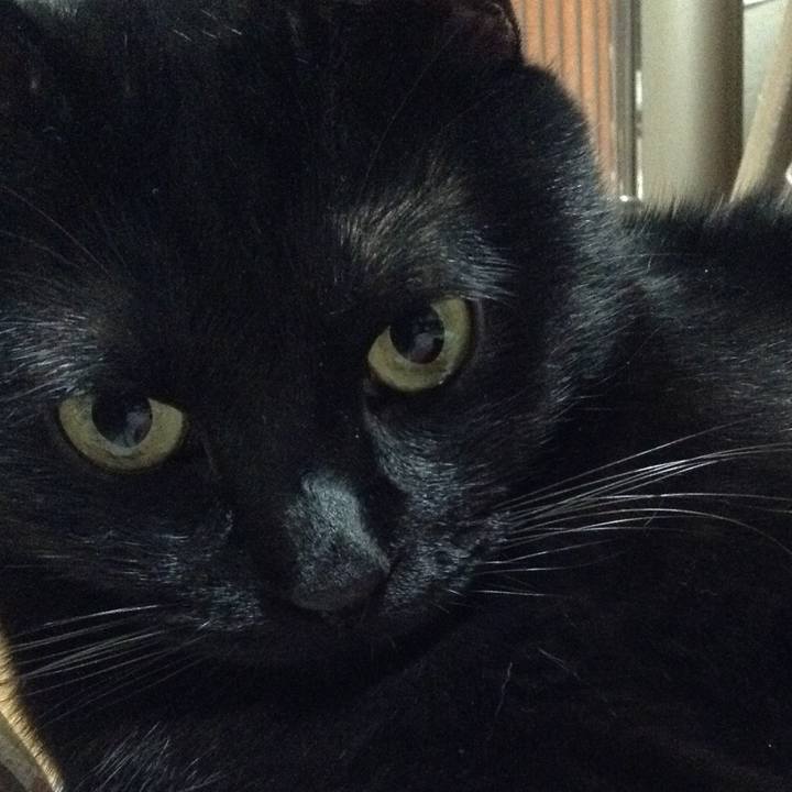 51362762 12c5 4fc7 b177 06b2e3811da7