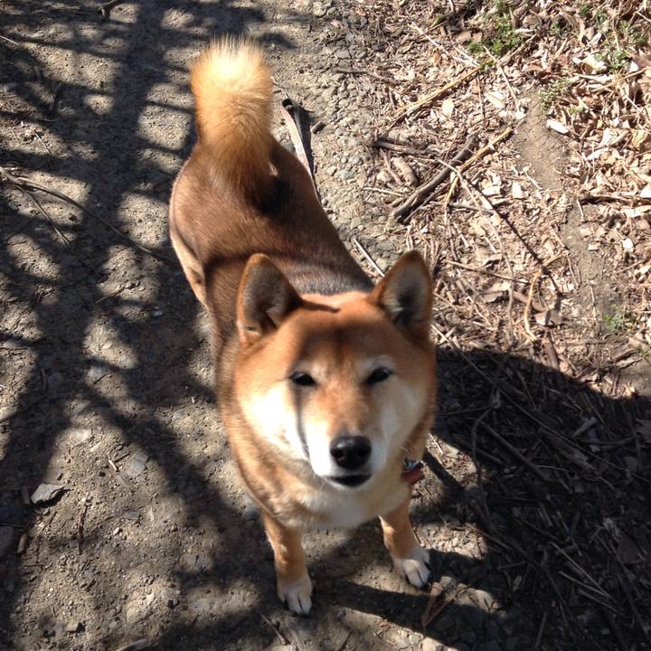 51371fb2 adb1 4e45 94ed 1b2bb13241b8