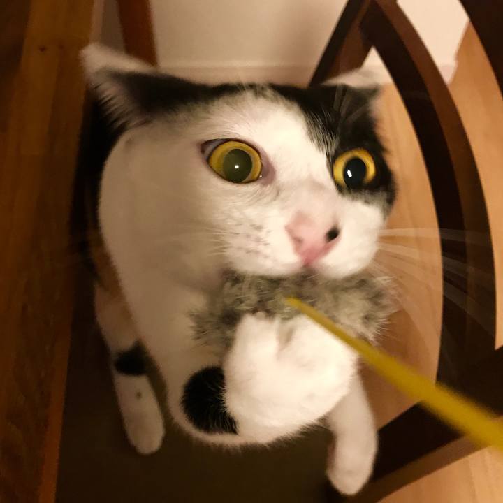 5137c41c 374a 4b6b 8827 47b197ac12dd