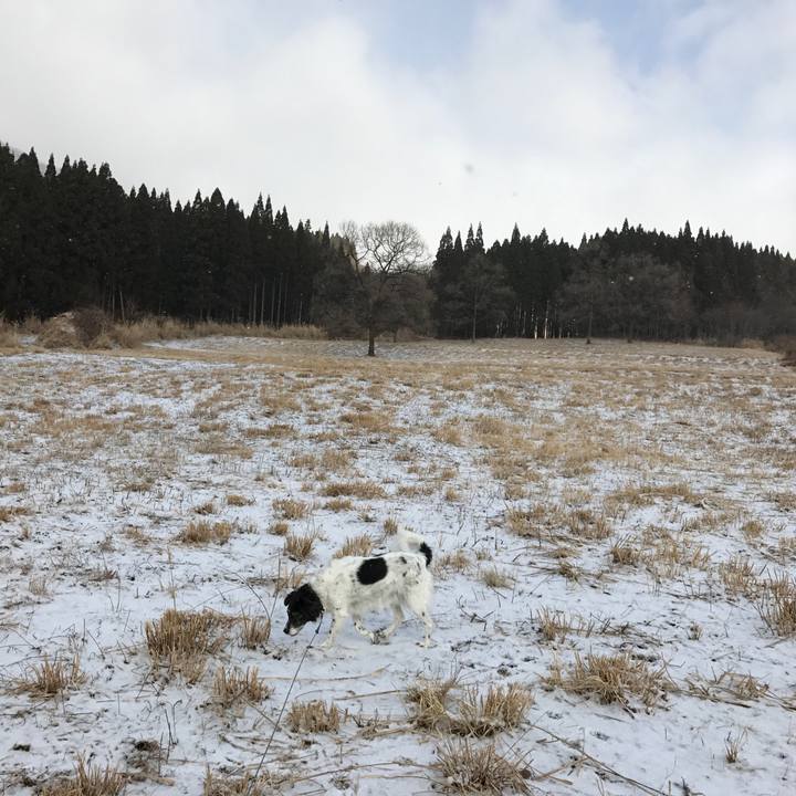 5137dc9c d60e 4c87 8f5b 813fbbb5b452