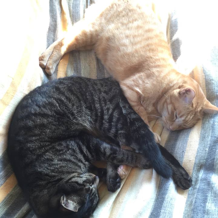 51382491 e51a 4f63 9adf 3943d311eeab