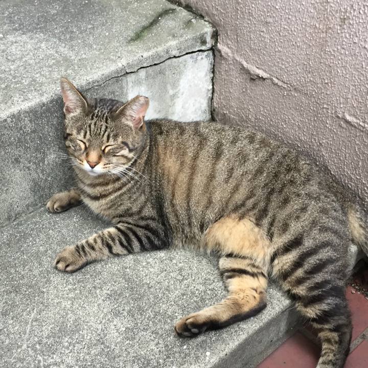 51382c7e 823b 424a 901d 846bd85b3c3a