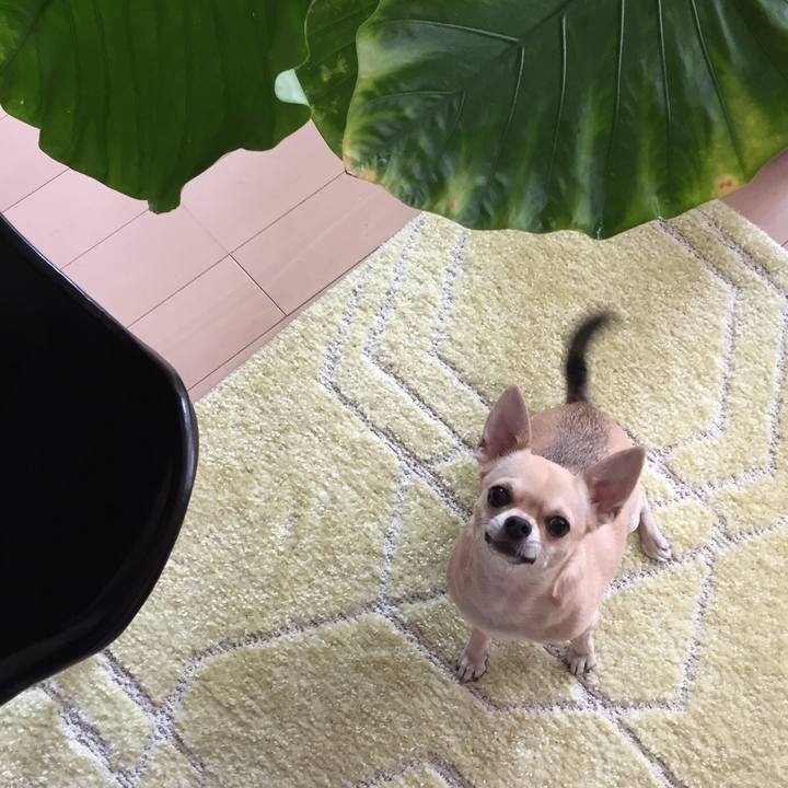 51385b6e 56a0 4ae5 b5bb 5731b922f03c