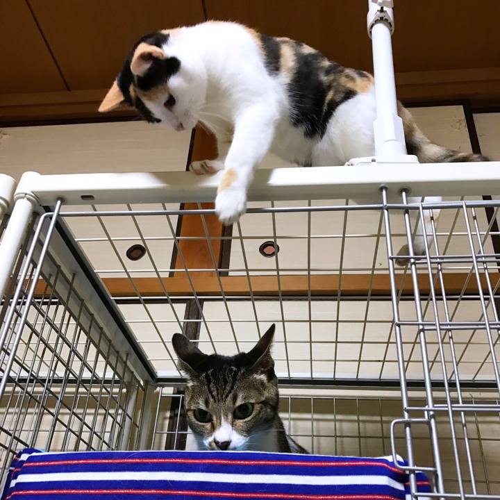 51387f49 0421 4a43 9f92 6fd4b112d901