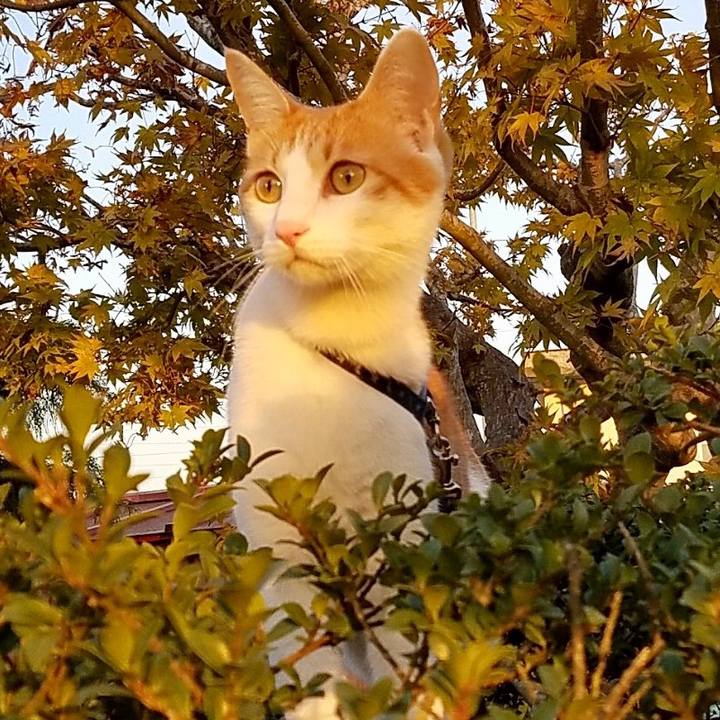 5138d60a 1343 432c 8362 6d6873c4e9c0