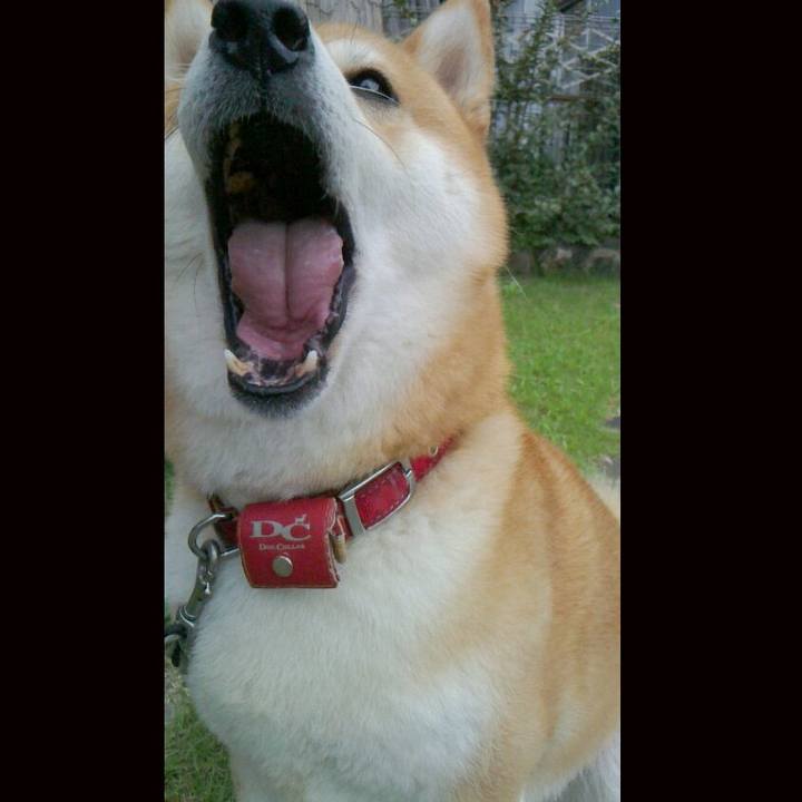 5138e129 9170 45e2 8689 d174fd1433db