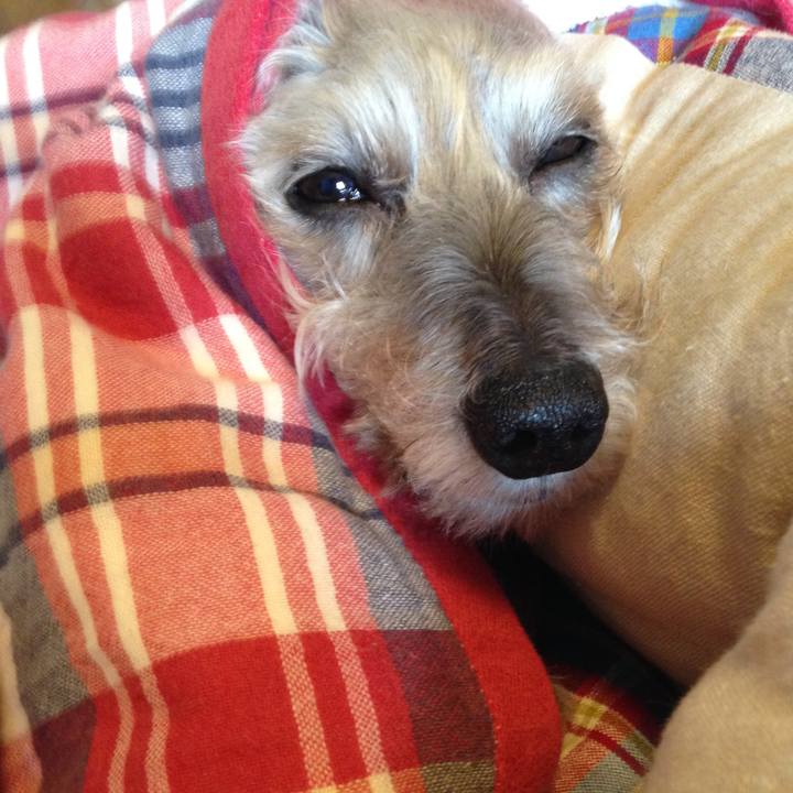 51398107 1ac8 4c61 91f6 131ec514a92f