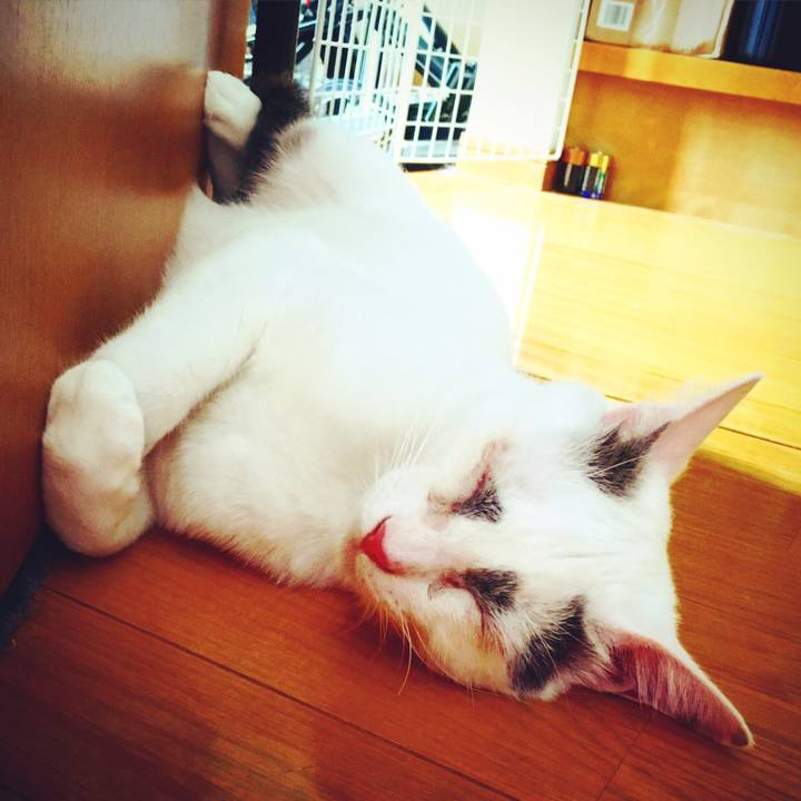 5139b142 361a 41d7 81d8 d75df3999e61