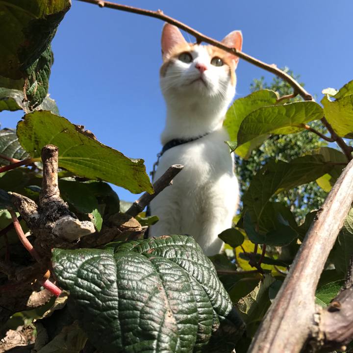 5139e28c 7f9b 4433 9124 c8bdd3c2dd8e