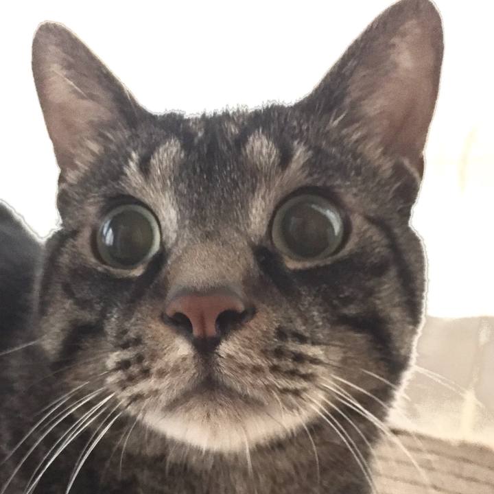 513aafd1 903f 446f b953 79eb439eae81