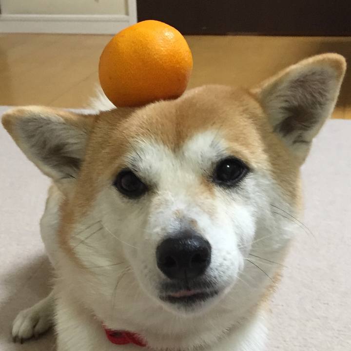 513b2d9c b10e 4efd a4aa eeecfbc1931e