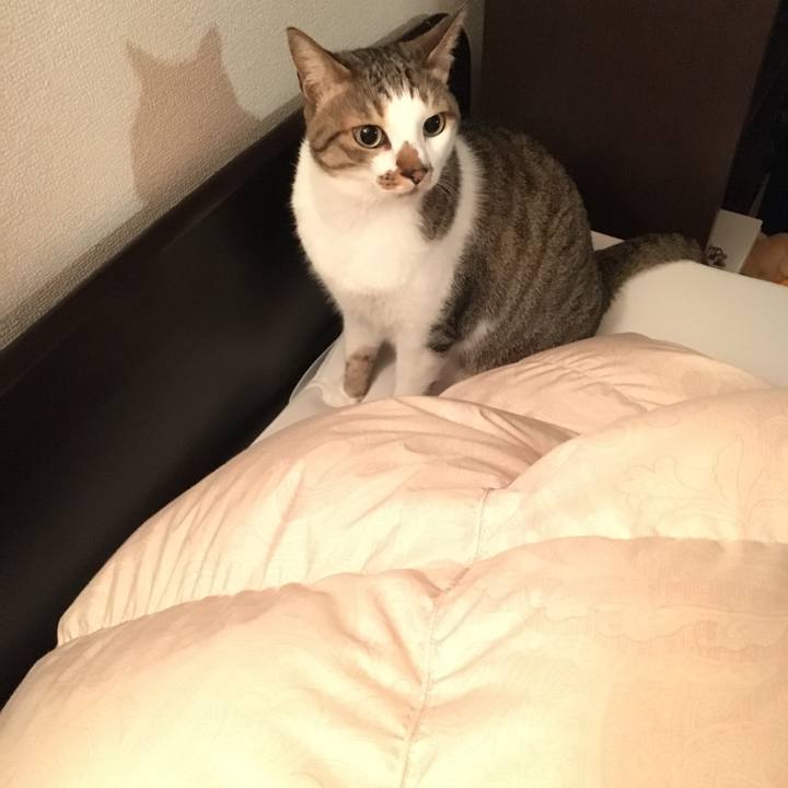 513b9ff9 56f9 450a 96cb 0b92e3f89ad0