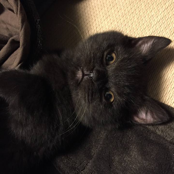 513d0b1a 9fbb 4968 a34d 406528abf793