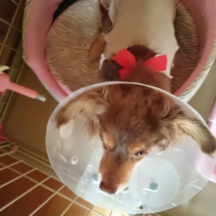 513d53af 5cbb 4494 b755 a25f6712a17f