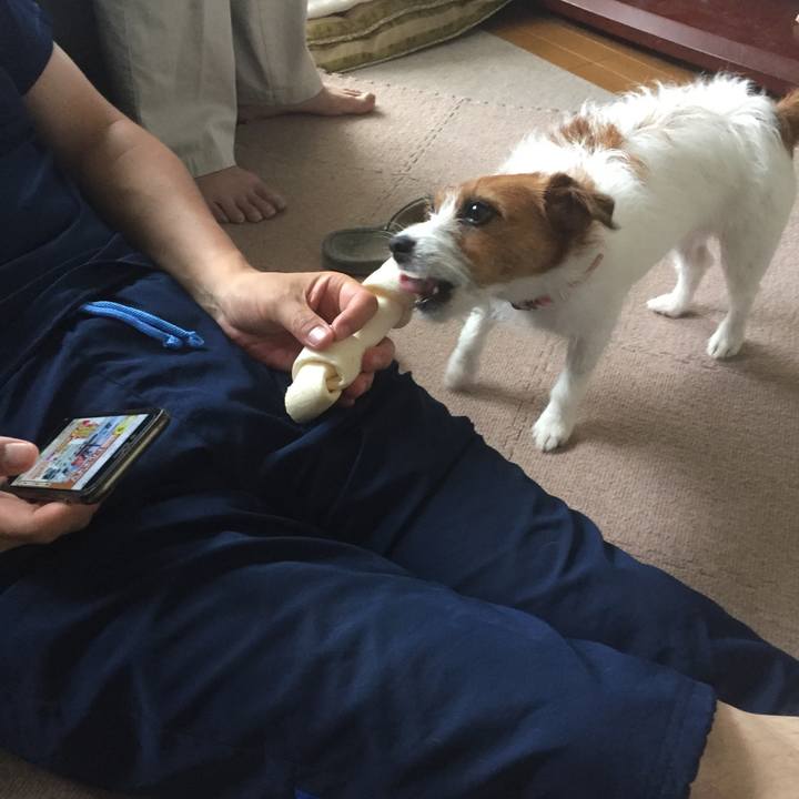 513d5feb bf1d 4b01 accb fb2200684ab0