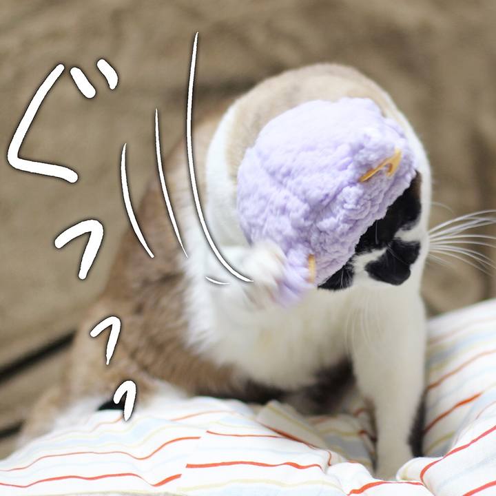 513d8cbf a376 4c3b a23b 517946c6d5ad