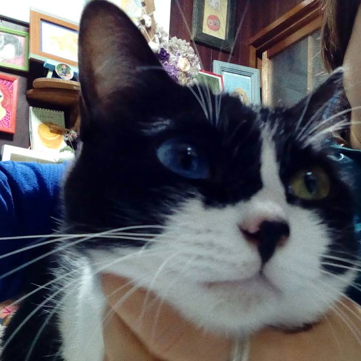 513de030 a540 47d6 8ab7 84bec1e0ac87