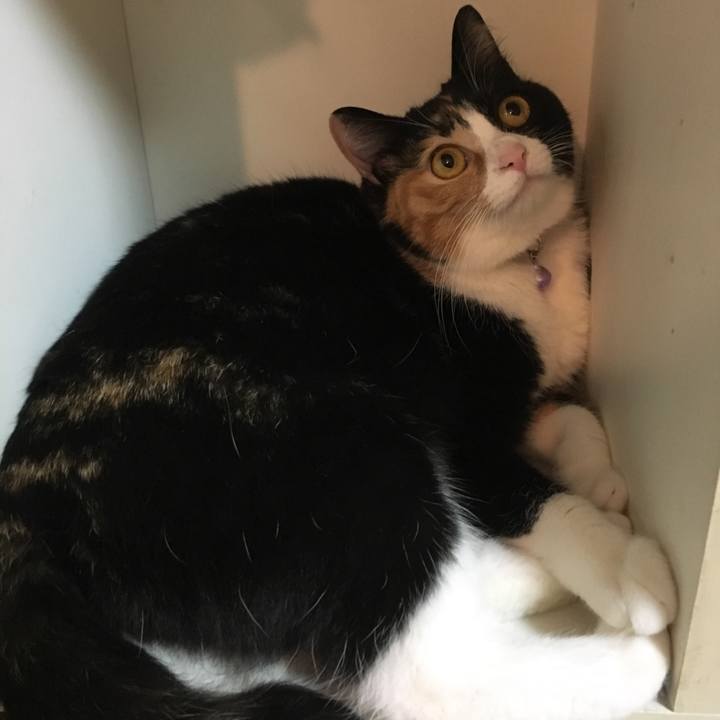 513ebaac 6fca 4c65 a8e0 b798a1b531e5