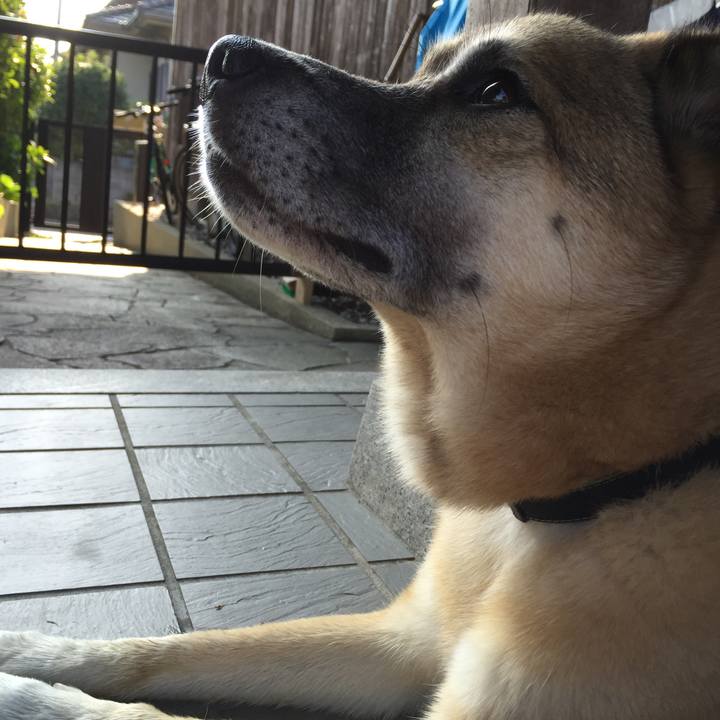 513ed6a6 41d5 43c4 9399 020540fd9d0b