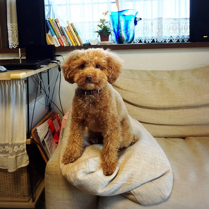 513f5b7c 4cc5 4d81 9d88 6e3c80f85471