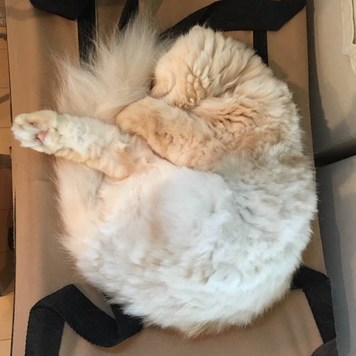 513fba44 4304 4ae2 a8e4 022146834768