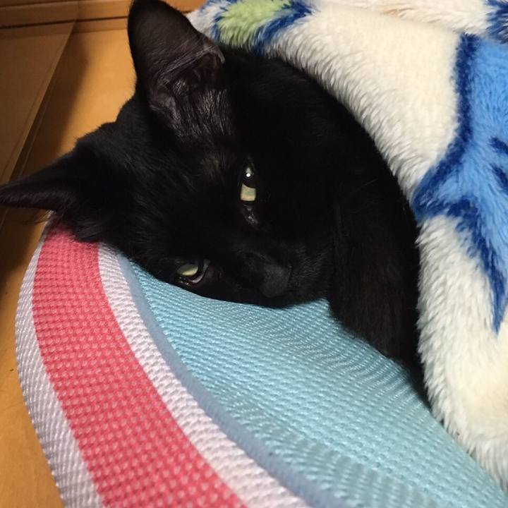 513fe3b6 92ba 4bee 8264 4c872d89a138