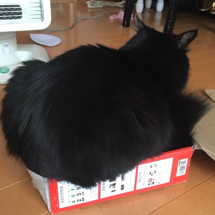 5142af91 1836 45eb bc38 4200b311d7d3