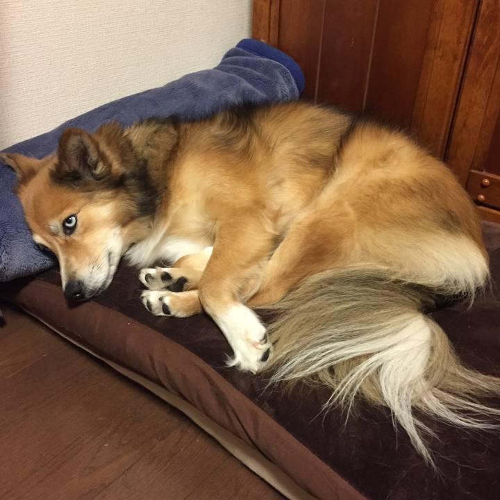 514306ad 9a5d 45b9 9752 f0f8ed61498d