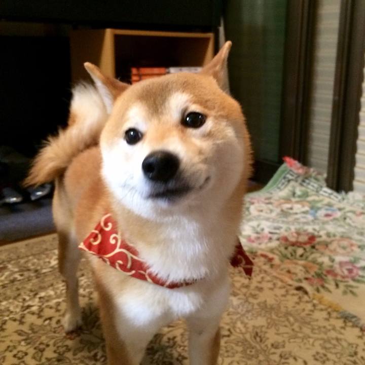 51439673 d85d 464f 9799 882a9508f177