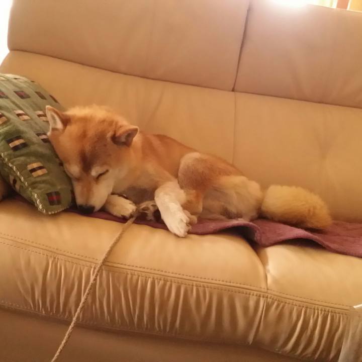 5143be9e 5163 4e45 bb44 0282e1604f1d