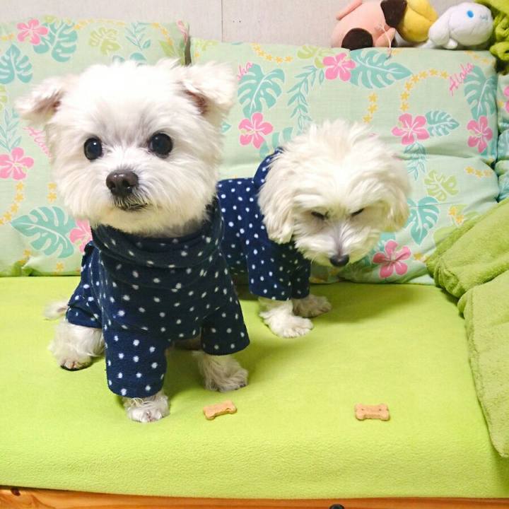 5143d265 e27e 490a 9d2b 674838d1c393