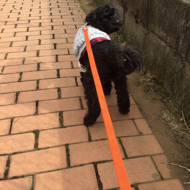 5143d696 678a 44e2 8ae1 1811ee9afdb2