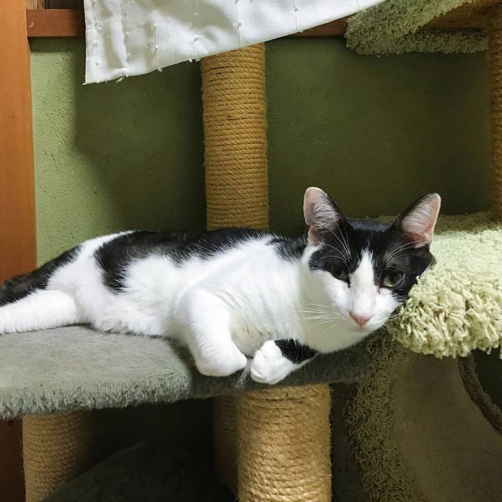 514493a8 3444 4a01 89de 68216202bbb4