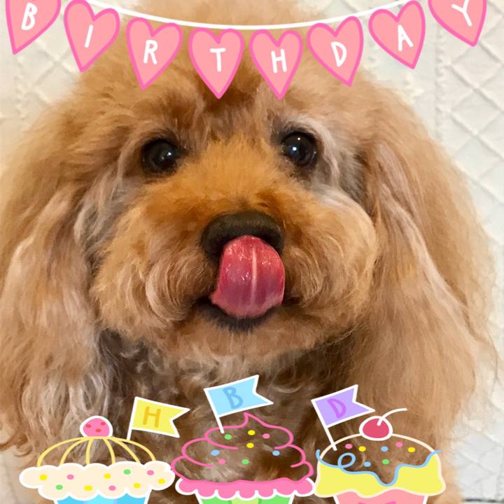 51449e17 a0c4 48c7 9c14 f4a1a87ae665