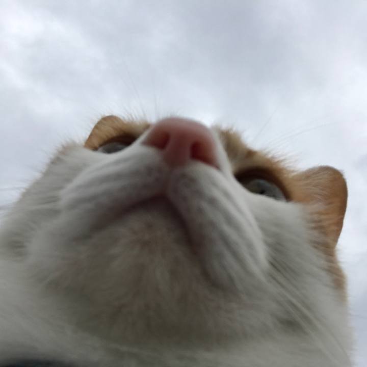 51452515 c8a5 49c2 902e ffe8135fedb1