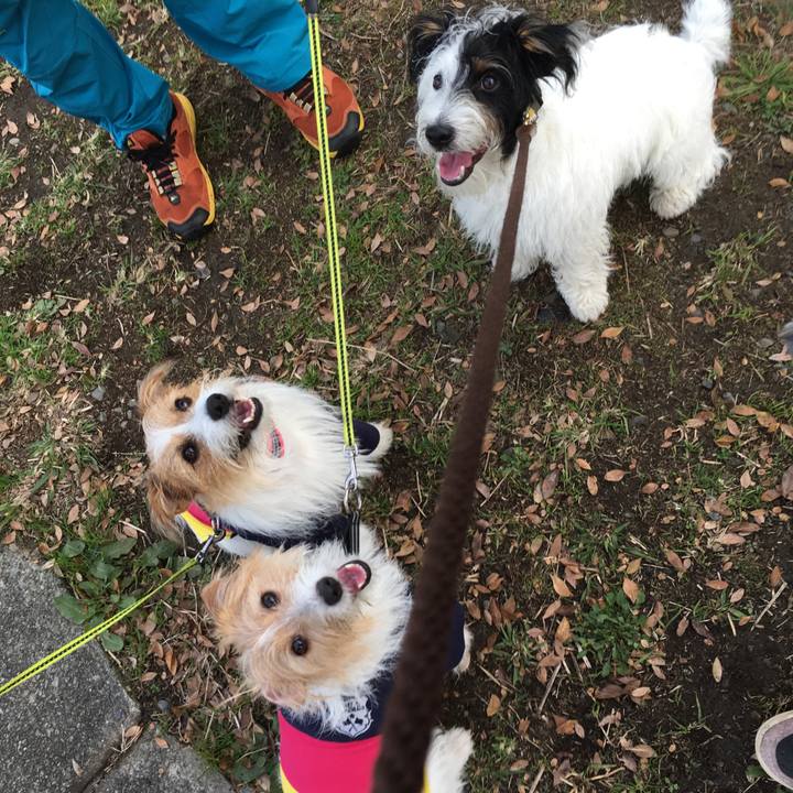 51456812 4b93 4b05 97fa 261f8b60343a