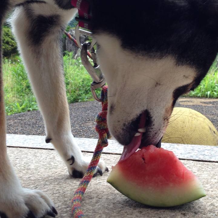 51467a02 c47d 4a30 a391 b412ee0e8971