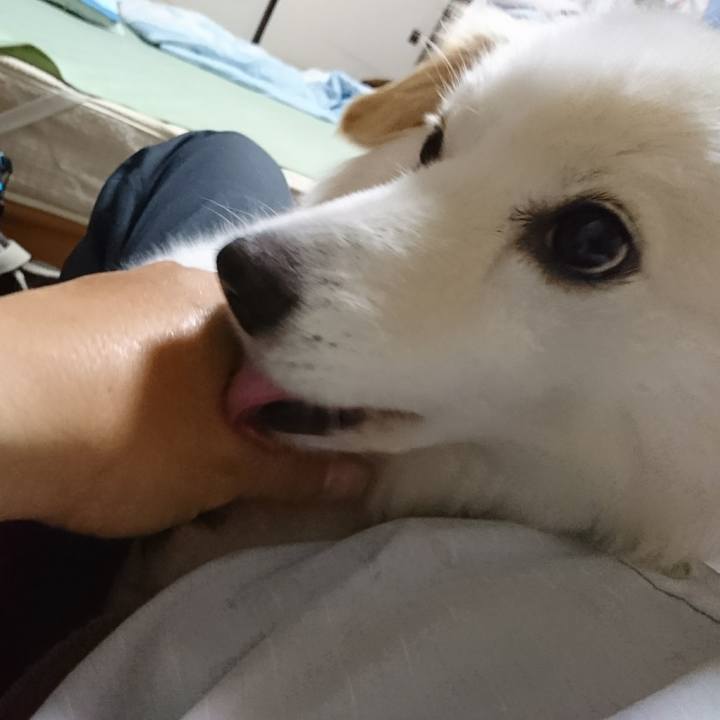 51478018 267e 4dd6 a353 8a2afcb5cd62