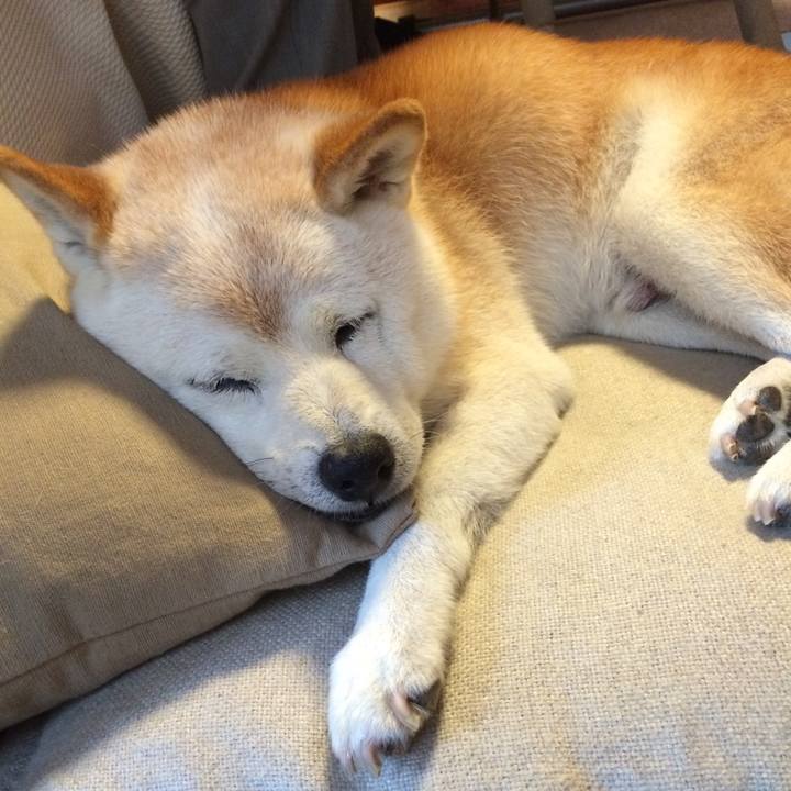 514859d0 ebf8 430c a401 72f088dd0023