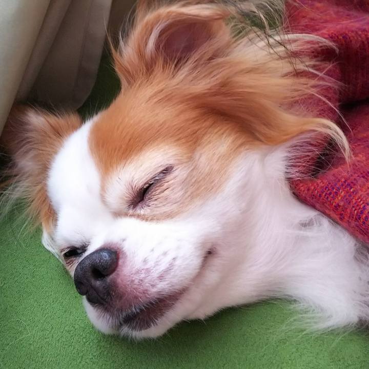 5148ba3d 4ee2 4a5d 8bf6 95ba8b34eb74