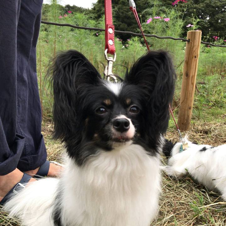 5148e96d 57a6 473a 92f8 c843b7de32d5