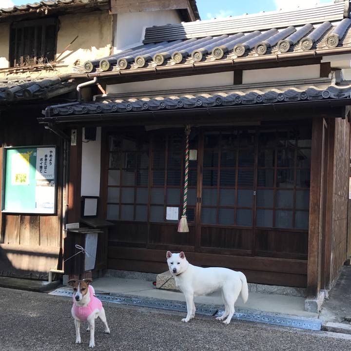 5148e9ae 68c7 4169 bd6a 33a6d51a5a02