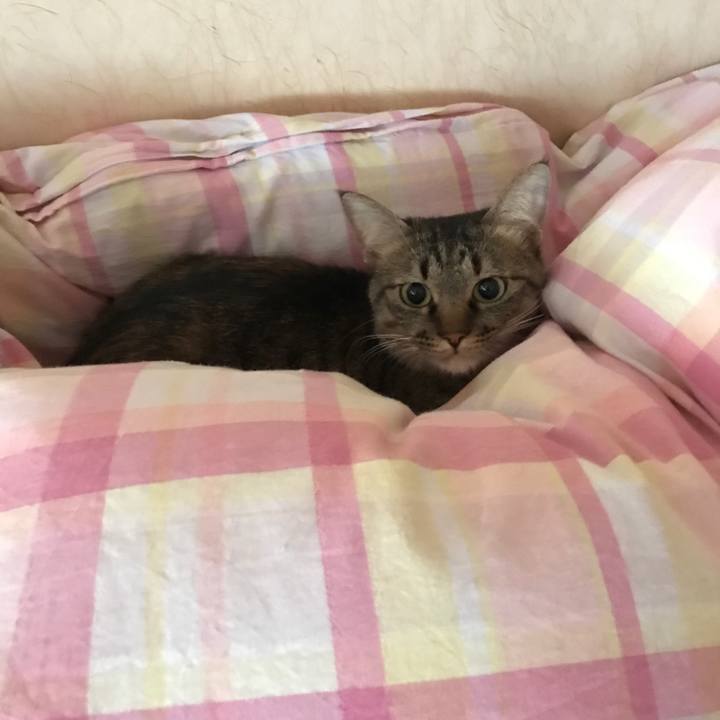 5148efb9 4b38 41f8 b9ea d24ce2c9f037