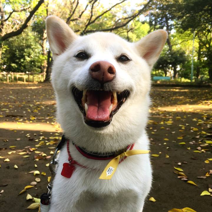 5148fd27 eeba 4e99 8157 eeaddd65d8a4