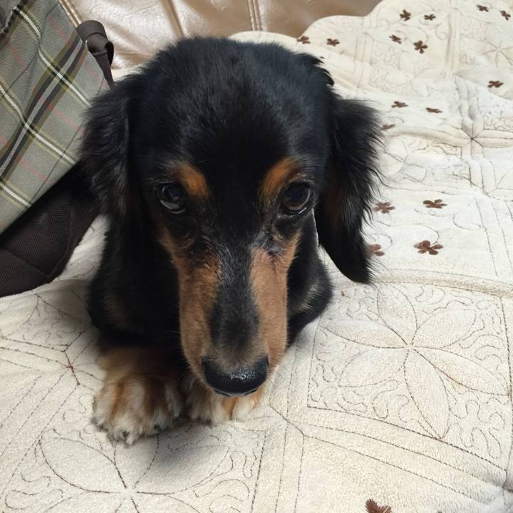 5149135d c6b1 4155 b3a9 57f92d3bbbd2